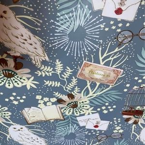 Harry Potter Luggage